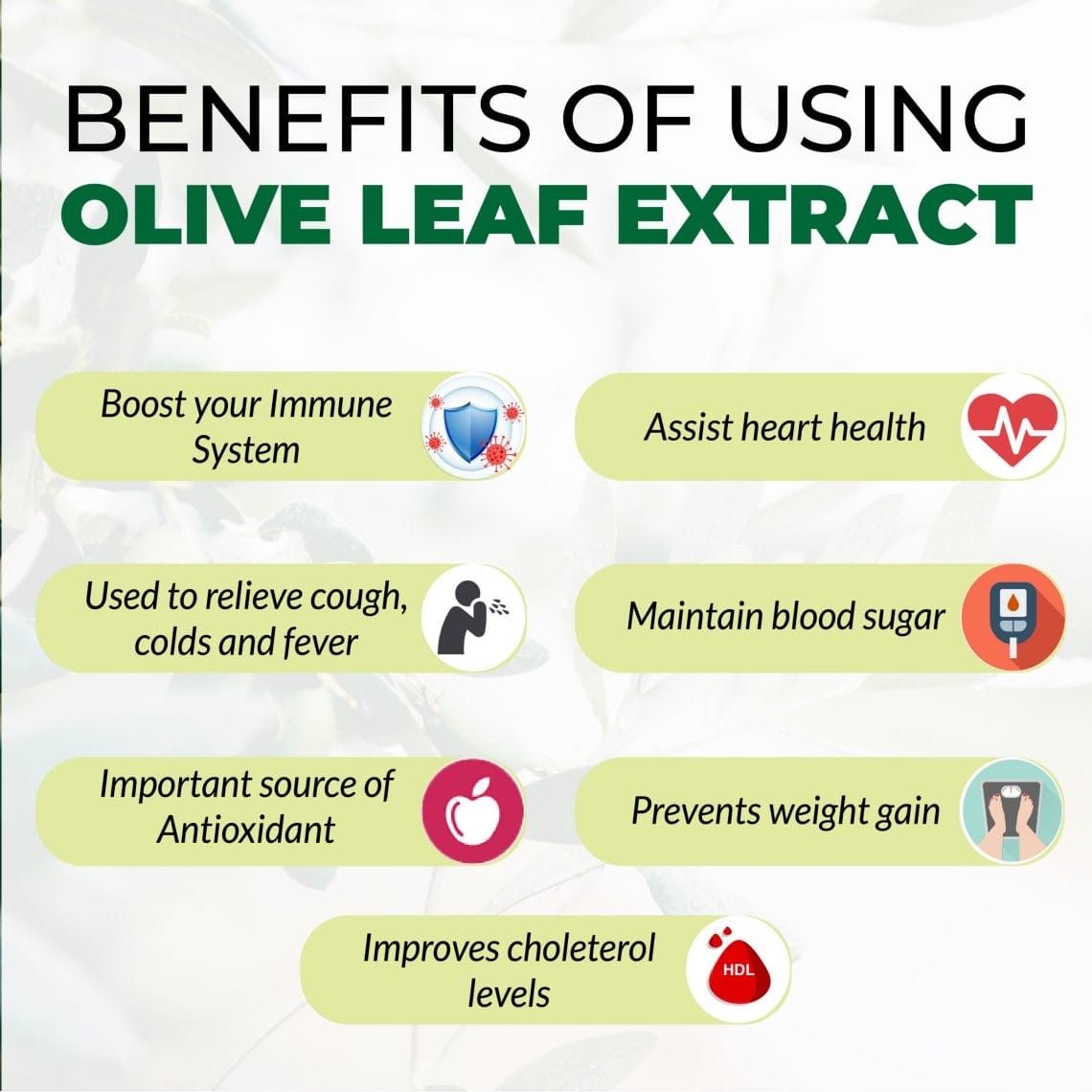 Benefits of using Olive Leaf Extract - 2